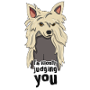 Chinese Crested Dog