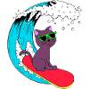 surfer