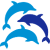 Dolphins