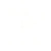 Vitruvian Man guitar skjorte Da Vinci guitarist