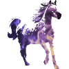cheval