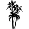 Palmiers