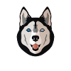 Husky