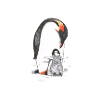 Pinguin