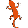 salamander