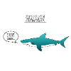 sharkasm