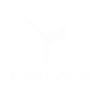 karate