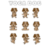 Yoga dog