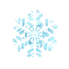 snow star