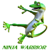 Guerrier Ninja