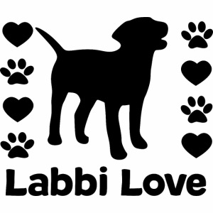 Labrador Labbi Hund