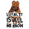American Bully