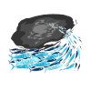 Fish Predatory fish