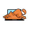 Cat Computer
