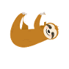 Nope Not Today Funny Sloth