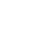 A delicious apple