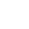 Fox Terrier Foxiness