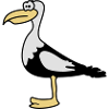 Seagull cute cute animal motifs