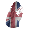 Sherlock Holmes