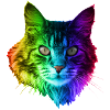 Regenbogenkatze