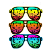 Chinchilla