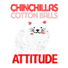 Chinchilla
