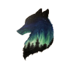 loup de nuit