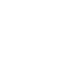 Australian Cattle Dog