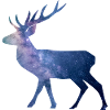 Deer Starlight