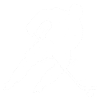 Ice hockey