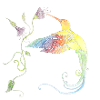 Humming-bird