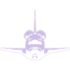 Space Shuttle
