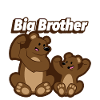 Bear brothers - big brother