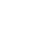 hippo