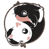 Yin Yang Katze Hund schwarz-weiß - Geschenkidee