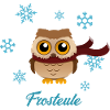 Frosteule Frostbeule eule mit schal