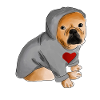 French bulldog