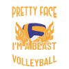 Joueurs de volley-ball