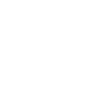 Skull with bones