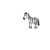 zebra