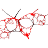 chat abstrait