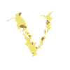 Vikings