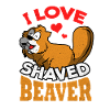 Beaver