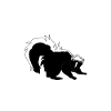 skunk