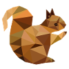 Eichhörnchen