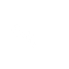 Ant insect luck