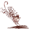 Cat Caravan avec Pop Band