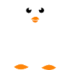 Funny penguin