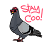 Reste cool