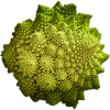 Romanesco - fractals in nature